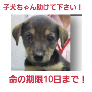 本当にありがとうございました!!