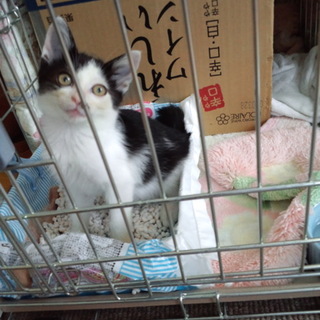 ヒラメ顔ですが…