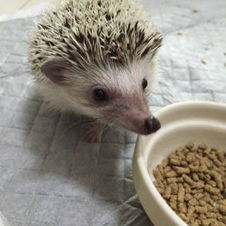 ご応募多数の為、締め切らせていただきます。