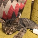 只今 交渉させていただいています。