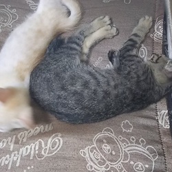 やっと仲良くなったよ！