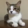 ウィンク。