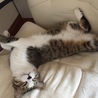 ちょっと席を外した隙に。。。