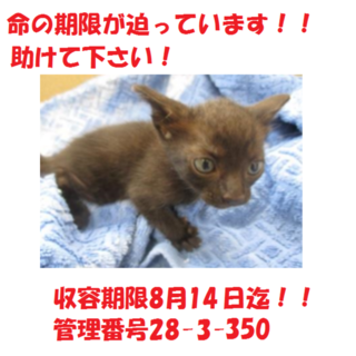 3匹兄弟で迎えていただきました(#^.^#)