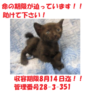 3匹兄弟で迎えていただきました(#^.^#)