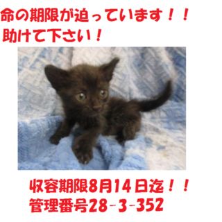 3匹兄弟で迎えていただきました(#^.^#)