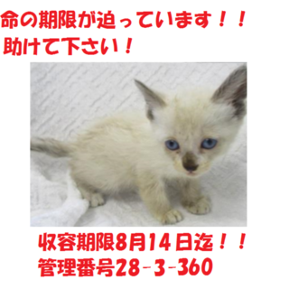 2匹兄弟で迎えていただきました♪感謝☆