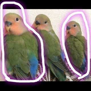 ありがとうございました！