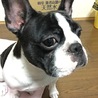 とらちゃんまん