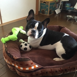 一時募集終了！応募多数順次対応させて頂きます