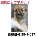 ありがとうございました!!