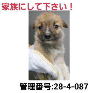 ありがとうございました!!