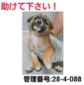 ありがとうございました!!