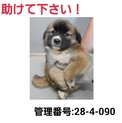 ありがとうございました!!