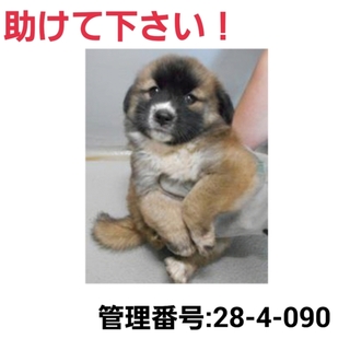 ありがとうございました!!