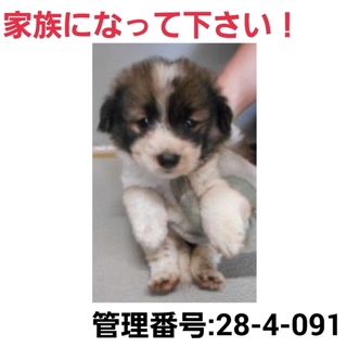 ありがとうございました!!