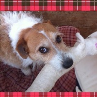 たろう