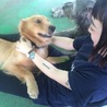 じゃみたなか