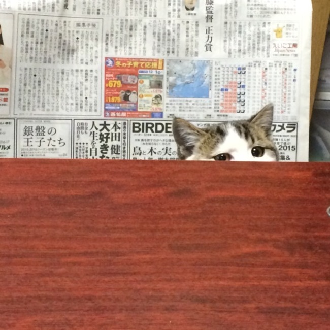 鈴木うー太郎のカバー写真