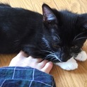 かわいいやんちゃ君