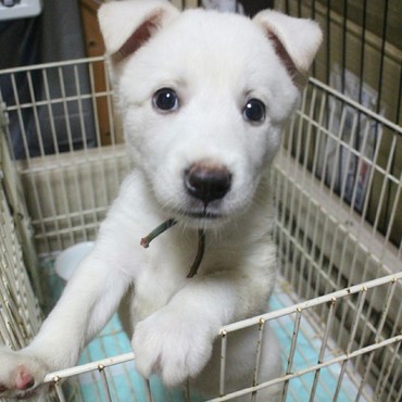 登るの、得意よ♪