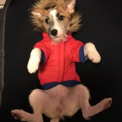 備忘録カノン⑤