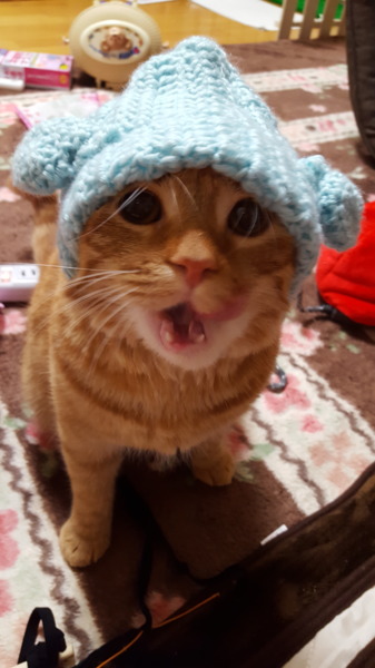 琥珀〘こったん〙