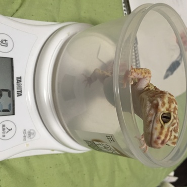 体重測定
