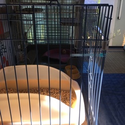 出産前の部屋に戻しています