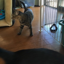 「出産前の部屋に戻しています」サムネイル2