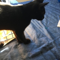 「出産前の部屋に戻しています」サムネイル3