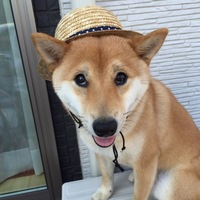カルマ