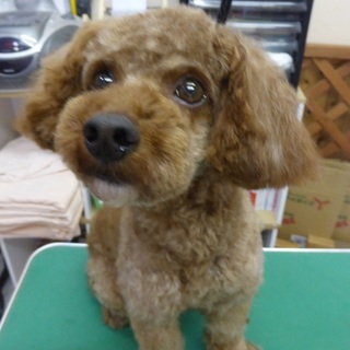 人が大好きで男前ながっちゃん、食いしん坊が玉にキズ