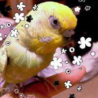 宮下メロン