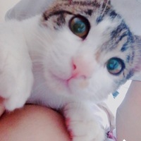 べる