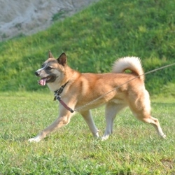 ずっとここにいる？