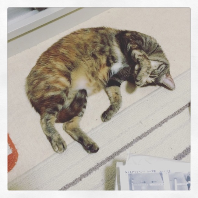 Kentarocrazyのカバー写真