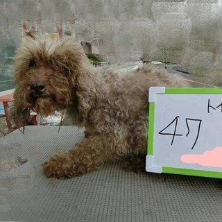 外って楽しいね。家族ってなーに？