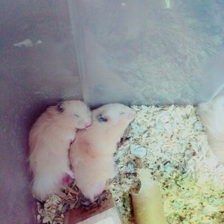 募集してくれたみなさま、ありがとうございました！