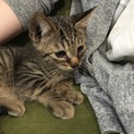 ぽっちゃりした男の子