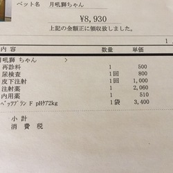 「血尿の原因が、ついに判明！」サムネイル1