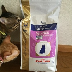 「血尿の原因が、ついに判明！」サムネイル3