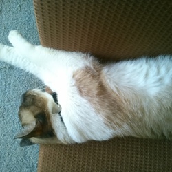 暑いですね～(-_-;)