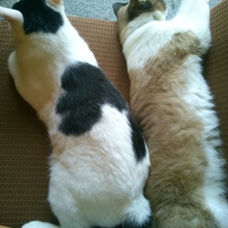 「暑いですね～(-_-;)」サムネイル2