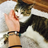 さゆ