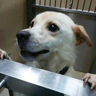 期限ギリギリで助かりました☆