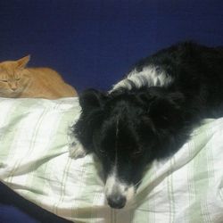 「お盆だもんね」サムネイル2