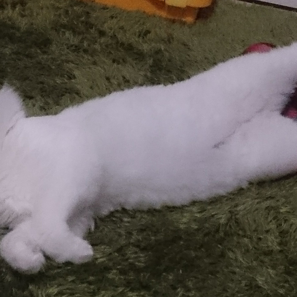 ビヨンのカバー写真