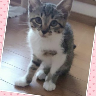 性格重視の方❤おすすめです。おとなしい女の子