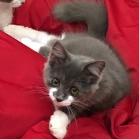 乙姫 (通称:おとちゃん)